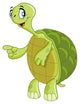 Turtle Wall Decal