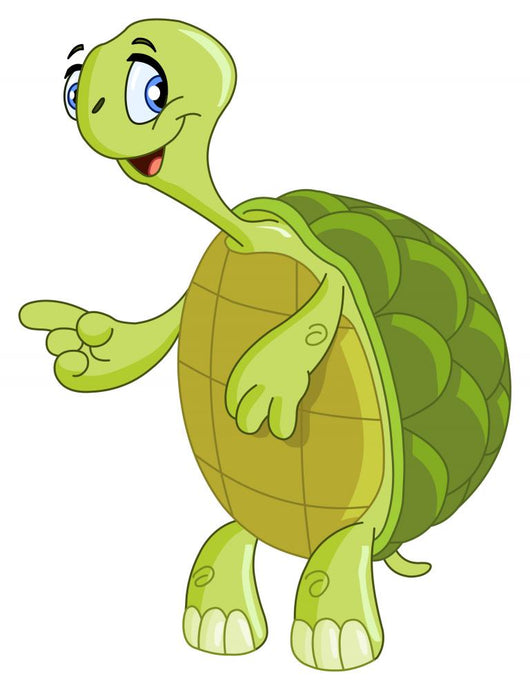 Turtle Wall Decal