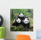Giant panda bear posing for camera Wall Mural