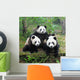 Giant panda bear posing for camera Wall Mural