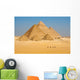 Camels Line Walk Pyramids All Wall Mural