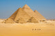 Camels Line Walk Pyramids All Wall Mural