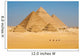 Camels Line Walk Pyramids All Wall Mural