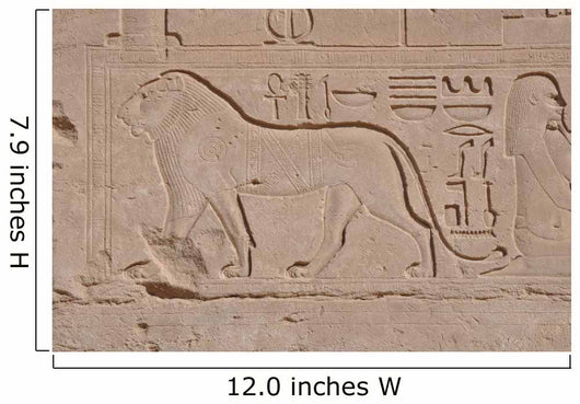 Bas-relief Lion