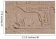 Bas-relief Lion