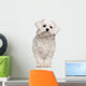 Maltese puppy Wall Decal