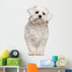 Maltese puppy Wall Decal