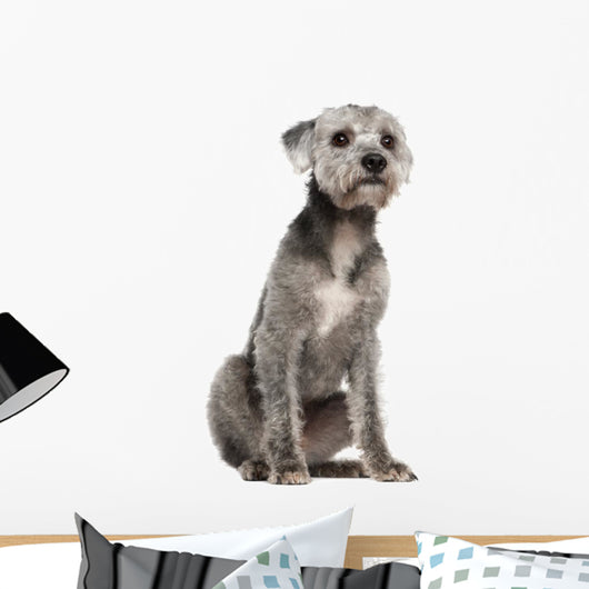 Mixed-breed Dog 1 Year Wall Decal
