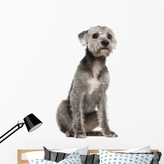 Mixed-breed Dog 1 Year Wall Decal