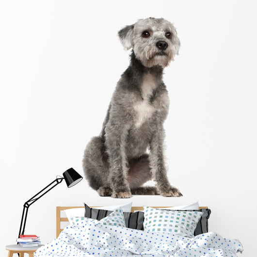 Mixed-breed Dog 1 Year Wall Decal