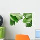 Tropical Frame with Clipping