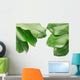 Tropical Frame with Clipping