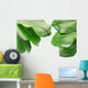 Tropical Frame with Clipping