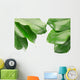Tropical Frame with Clipping