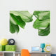 Tropical Frame with Clipping
