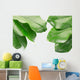 Tropical Frame with Clipping