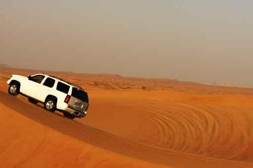 Desert Driving Wall Decal