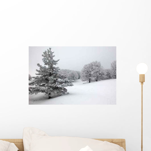 Winter Wood Wall Decal