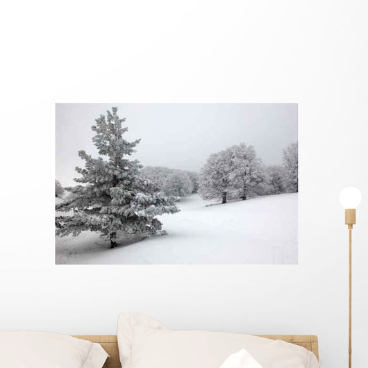 Winter Wood Wall Decal
