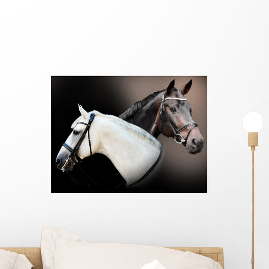 Spell Horses