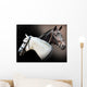 Spell Horses