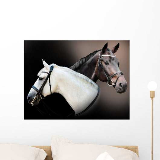 Spell Horses