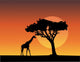 Africa Safari Silhouettes Giraffe