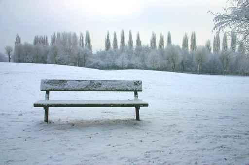 Bench Snow Park Wall Decal