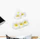 Frangipani Plumeria Wall Decal
