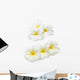 Frangipani Plumeria Wall Decal