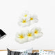 Frangipani Plumeria Wall Decal