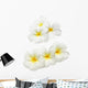 Frangipani Plumeria Wall Decal