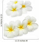 Frangipani Plumeria Wall Decal