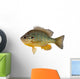 Sunfish Wall Decal