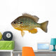 Sunfish Wall Decal