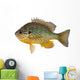 Sunfish Wall Decal