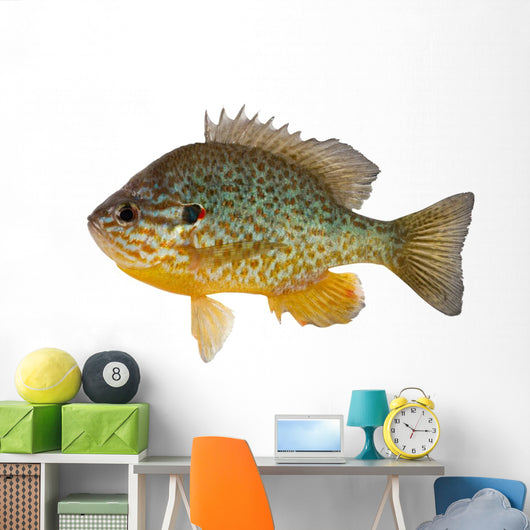 Sunfish Wall Decal