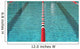 Swim Meet Wall Mural