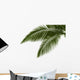 Leaves Palm White