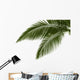 Leaves Palm White