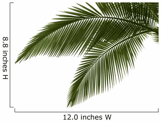 Leaves Palm White