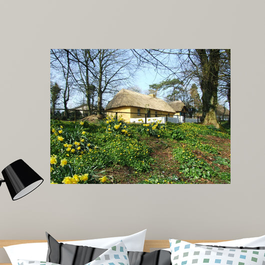 Beautiful Irish Cottage