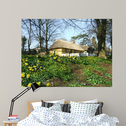 Beautiful Irish Cottage