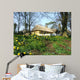Beautiful Irish Cottage