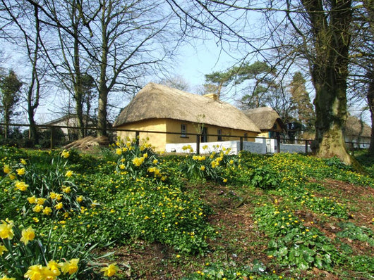 Beautiful Irish Cottage