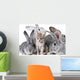 Cute animals Wall Mural