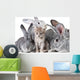 Cute animals Wall Mural