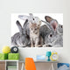 Cute animals Wall Mural