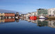 Galway Wall Mural