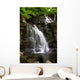 Torc Waterfall Ireland